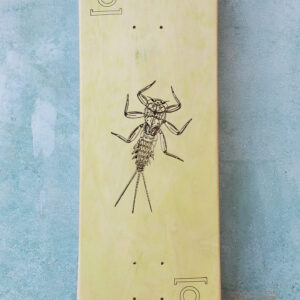 deck AKamp - 8.5