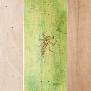 deck AKamp - 9.5